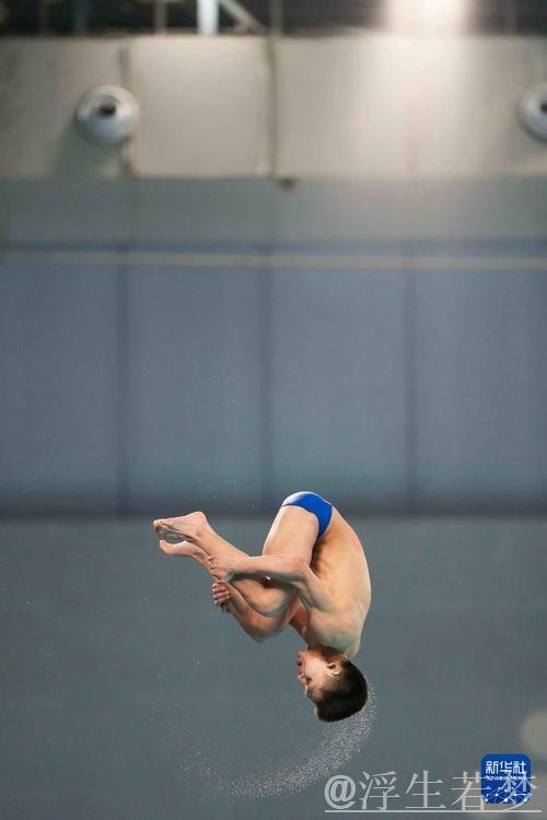 跳水世界杯总决赛:男子10米台精彩角逐 跳水世界杯总决赛:男子10米台精彩角逐